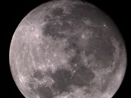 Mondmosaik am 08.10.2022