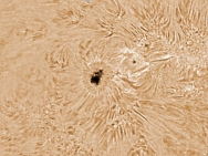 Aktive Region AR12149 im H-Alpha-Licht