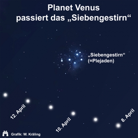 Venus im Siebengestirn