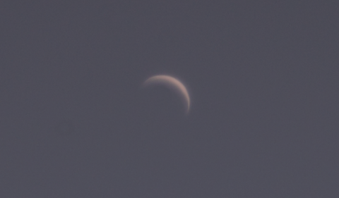 Etwa 2 Wochen vor dem Transit 2012 ist die Venus als Sichel zu bewundern.