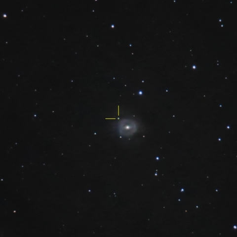 Supernova SN 2025fvw Typ 1a in NGC 5957 im Sternbild Schlange